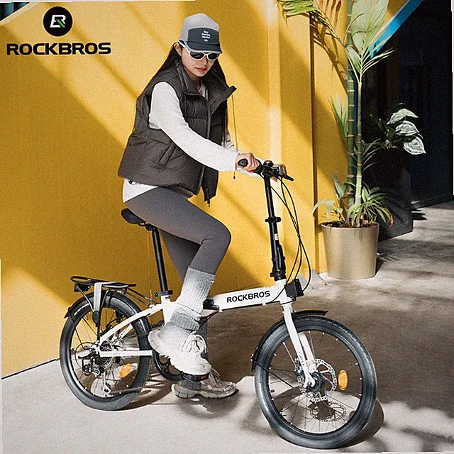 ROCKBROS SKN 20"Folding Bike 7-Speed Steel Frame Cable Disc Brake with Rear Rack